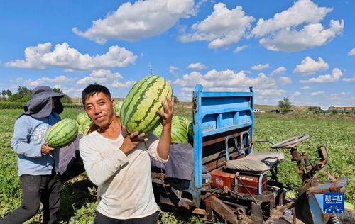 娱乐吃瓜君山河令,古装武侠剧中的甜蜜与热血交织