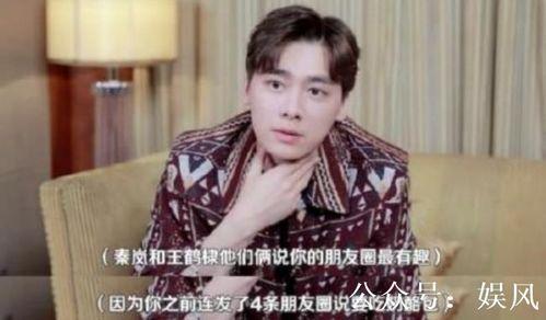 吃瓜娱乐王鹤棣是谁啊,吃瓜娱乐界的新星崛起